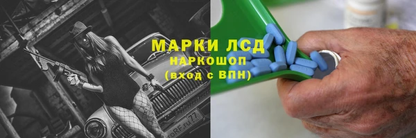 стафф Зеленокумск