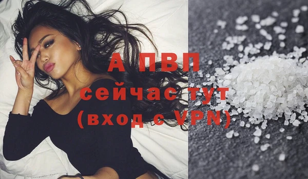 ECSTASY Армянск