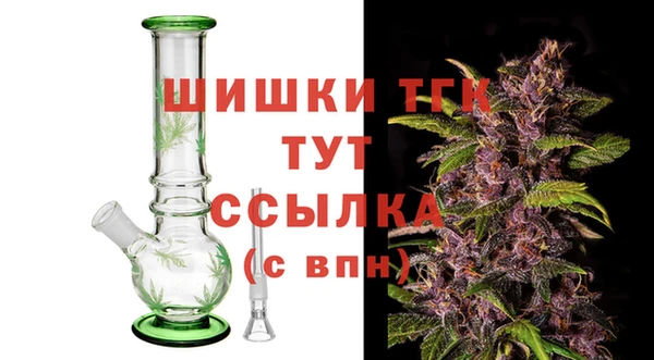 дживик Арсеньев